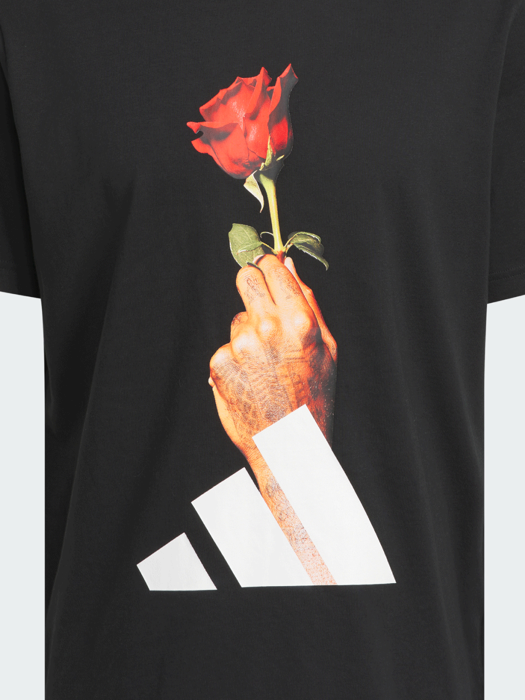 adidas x Derrick Rose New Arrivals